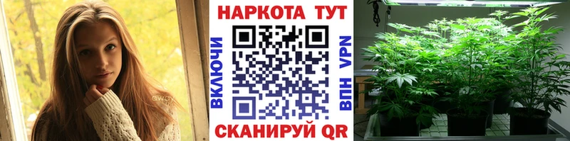 Где продают наркотики Пласт Кокаин  Меф  Alpha PVP  Конопля  Гашиш 