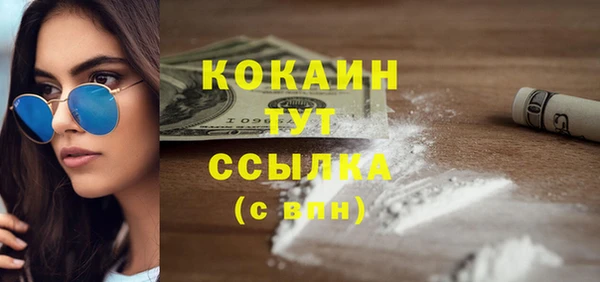 соль ск Алексин