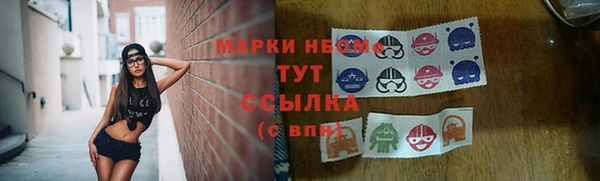 соль ск Алексин
