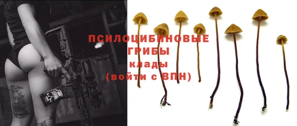 шишки Алексеевка
