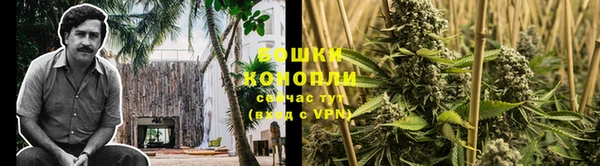 шишки Алексеевка