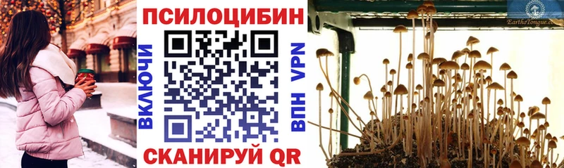 даркнет телеграм  hydra ONION  Пласт  Галлюциногенные грибы ЛСД 